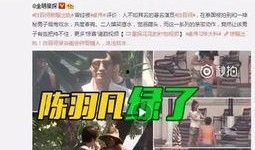 河南出轨爆料新闻最新情况,惊人细节揭露婚外情真相