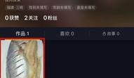 怎样在抖音发爆料视频,如何轻松发布热门爆料内容