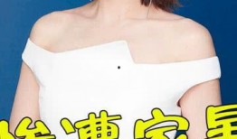 爆料娱乐圈家暴女星小说