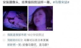 马蓉知乎爆料视频大全集,揭秘婚姻真相与情感纠葛