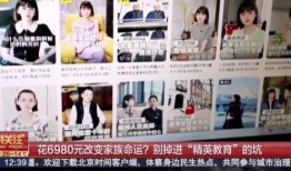 董太太员工爆料视频大全,揭露职场真相与内幕