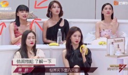 日本综艺姐姐爆料视频,姐姐爆料惊人内幕