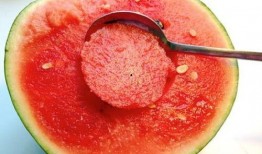 网红吃瓜铁锹勺子,铁锹勺子的独特魅力揭秘