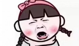 西湖斗气学生爆料事件视频,校园冲突视频引发社会关注