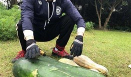 大瓜怎么爆料好吃视频,如何制作美味视频