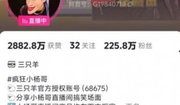 赵梓婷被爆料了吗视频大全,揭秘背后真相