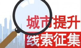 关于政府的新闻爆料,最新爆料揭示政府决策背后真相”