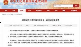 江苏热点爆料暴力新闻最新,最新爆料揭示惊人真相