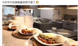 娱乐吃瓜酱柬埔寨骗局,娱乐吃瓜酱背后的真相