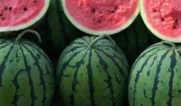 江西网红吃瓜视频,揭秘网络红人的幕后故事