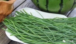 沧州吃瓜网红,揭秘当地美食与趣事