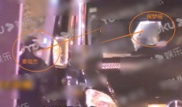 探长刘远春爆料视频大全,视频大全背后的惊人真相