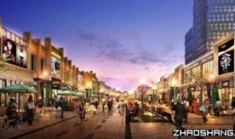 双流步行街爆料视频最新,繁华再现，人潮涌动，揭秘街头新风尚