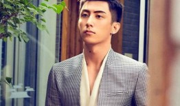 圈内人爆料黄景瑜许魏洲,揭秘兄弟情深背后的秘密