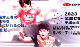 遥真菜在线观看,在线观看，解锁美食新境界