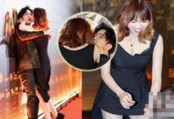 明星爆料横屏视频大全最新,横屏视频大全，揭秘幕后精彩瞬间