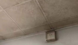 曹颖爆料视频,揭秘娱乐圈不为人知的幕后真相