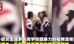 河南爆料女孩事件真相视频,真相揭露与反思
