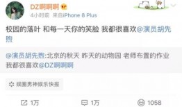 吃瓜娱乐胡先煦,揭秘娱乐圈背后的故事