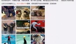 盈江新闻爆料事件视频完整版