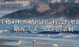 inthesoop在线观看,在线观看美食之旅的完美指南