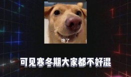 娱乐八卦在线吃瓜网站,明星幕后故事大曝光！