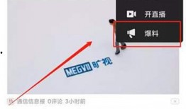 如何在爆料网搜视频赚钱,轻松搜视频，月入过万不是梦