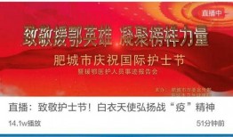 山东卫视爆料的新闻,重大新闻事件深度解析