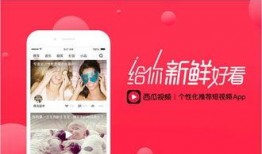 西瓜视频直播真实爆料,真实爆料带你走进直播行业