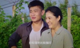 乡亲乡爱在线观看视频,重温家乡温情，共赏感人瞬间