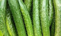 大瓜怎么爆料好吃视频,如何制作美味视频