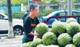 摆摊网红吃瓜视频下载,揭秘幕后下载攻略