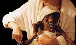 树婴电影在线观看,穿越时空的奇幻之旅