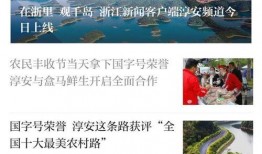 淳安负面新闻爆料最新情况,事件调查与影响分析