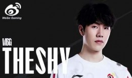 圈内爆料theshy,Theshy背后的神秘力量，圈内爆料揭示电竞传奇