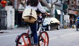 石家庄单车爆料事件最新,真相与争议交织的骑行安全风波