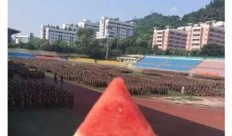 学姐吃瓜娱乐,揭秘校园八卦背后的故事