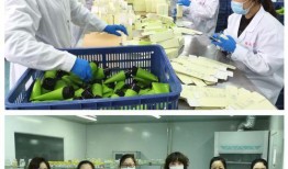 新乡医护人员爆料视频,生死攸关的坚守与担当