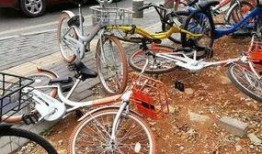 石家庄单车爆料事件最新,真相与争议交织的骑行安全风波