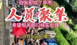 社会百态最新爆料,最新爆料揭示人间万象