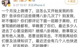 哈尔滨爆料歌曲视频,歌曲视频引发热议，揭秘冰城风情与时代变迁