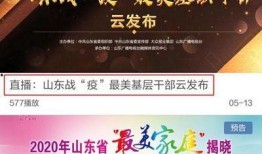 山东卫视爆料的新闻,重大新闻事件深度解析