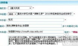 视频新闻爆料投稿要求,如何抓住热点，助力舆论监督