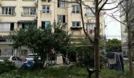 闵行丽园小区爆料视频,揭秘社区生活点滴