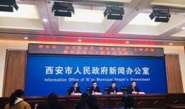 阎良新闻爆料最新,突发！某地发生重大事件，详情正在调查中...