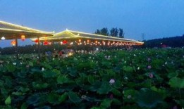 互动桌面最新爆料下载,揭秘未来智能交互新趋势