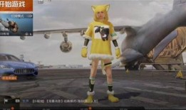 和平静英最新皮肤爆料,静谧之舞，优雅绽放