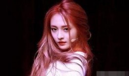 娱乐爆料社周洁琼,娱乐爆料社的璀璨星辉