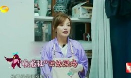 爆料赵薇苏有朋视频,昔日校园情缘引热议