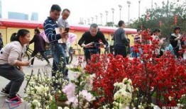 花街最新视频在线观看,精彩瞬间在线呈现，不容错过！